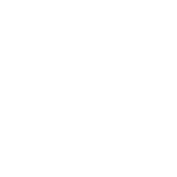 Noble Knight Media Logo Shield